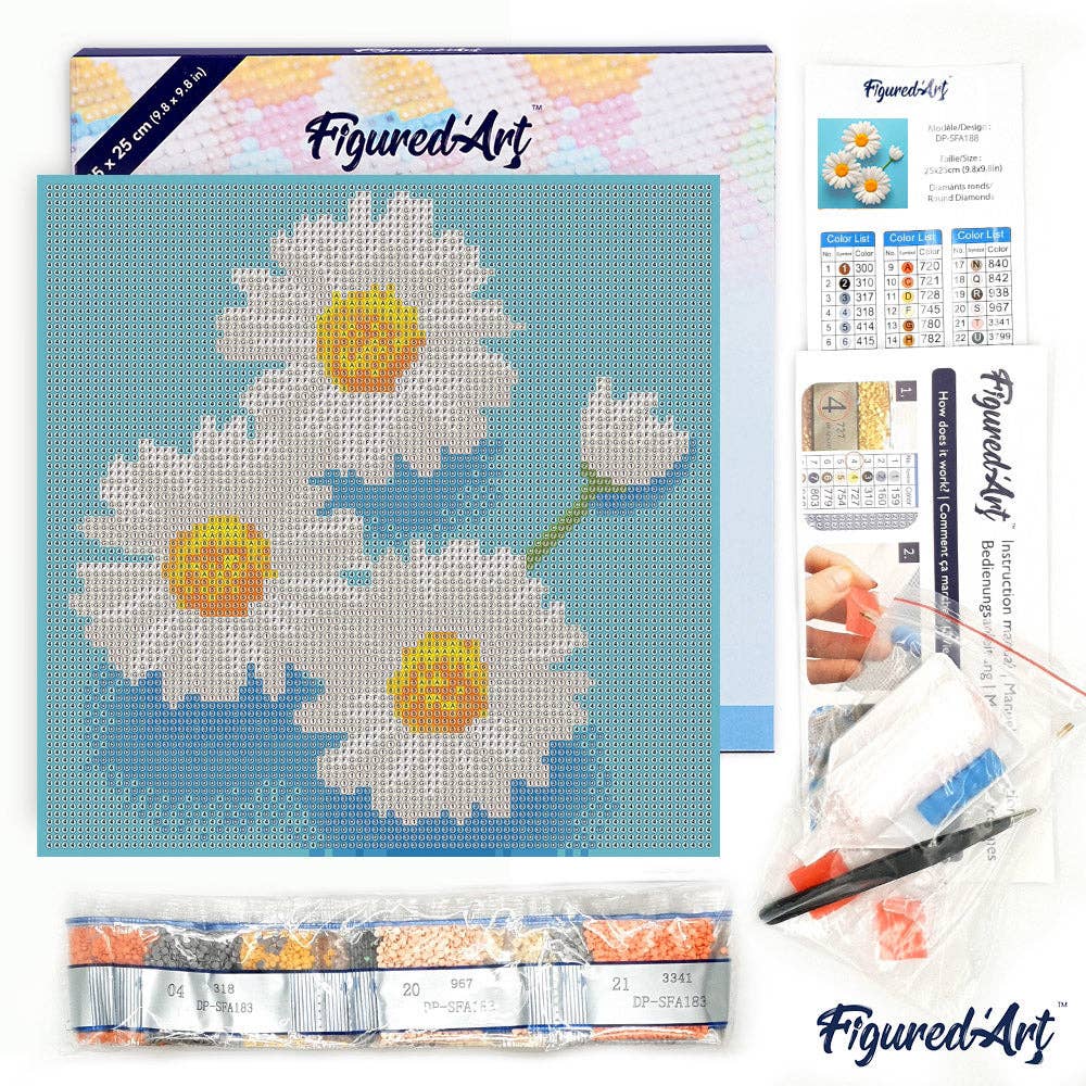 Mini Diamond Painting avec cadre Jolies Marguerites Blanches: Toile tendue sur châssis / 25x25cm