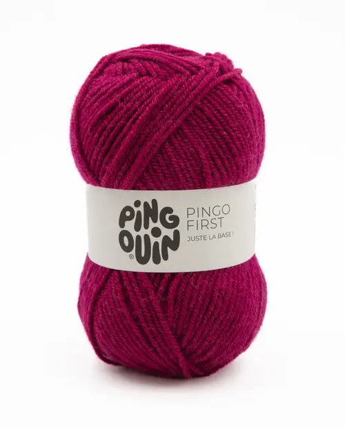 PINGO FIRST  acrylique