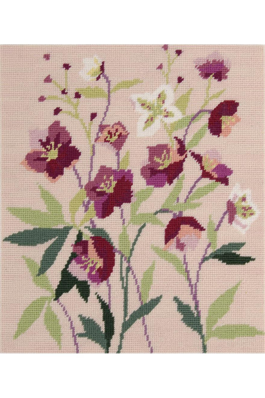 Hellebores canevas imprimé 30x35cm