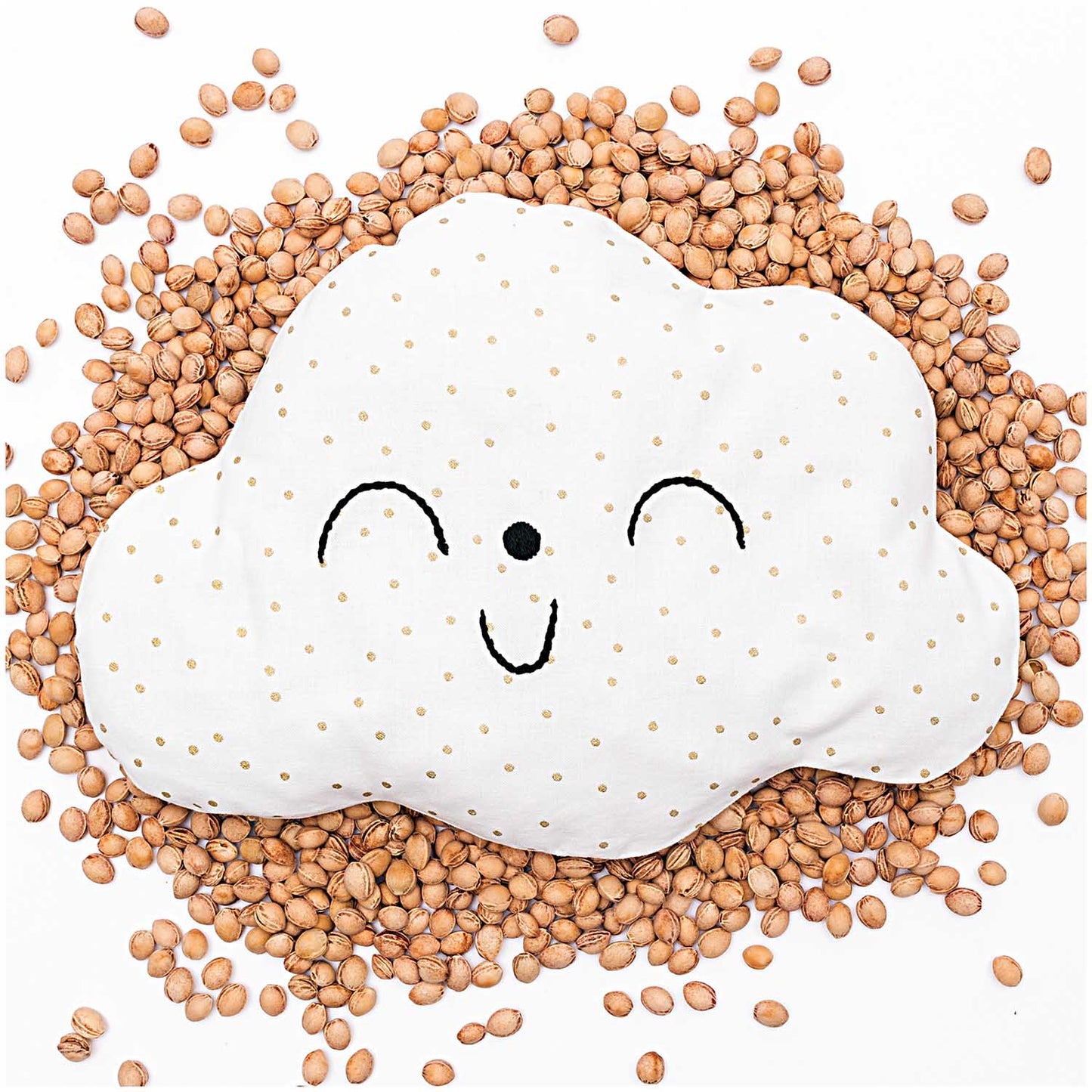 NOYAUX DE CERISES 500GR