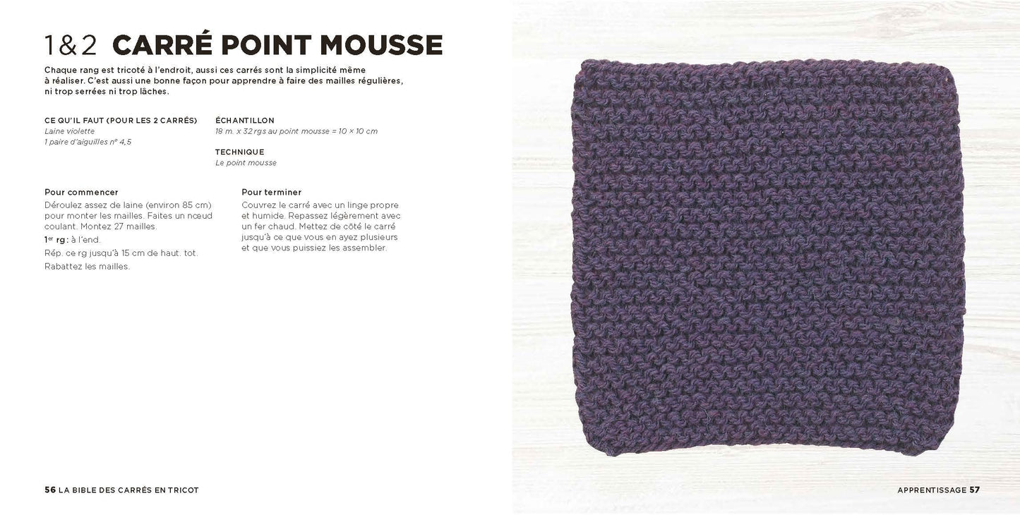 LA BIBLE DES CARRES EN TRICOT - 100 POINTS ET TECHNIQUES TRICOT