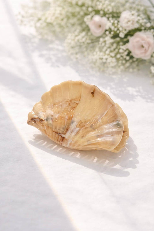 Pince à cheveux coquillage 9,5 cm YH83: Camel / Synthétique