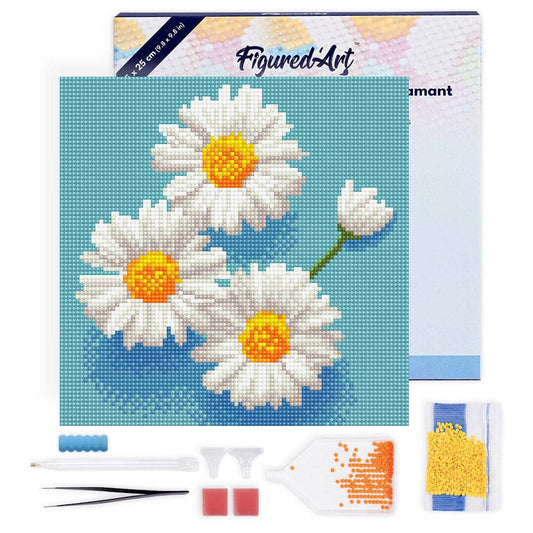 Mini Diamond Painting avec cadre Jolies Marguerites Blanches: Toile tendue sur châssis / 25x25cm