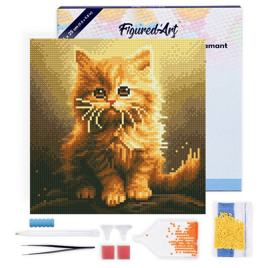 Mini Diamond Painting avec cadre Mignon Petit Chaton Orange: Toile tendue sur châssis / 25x25cm