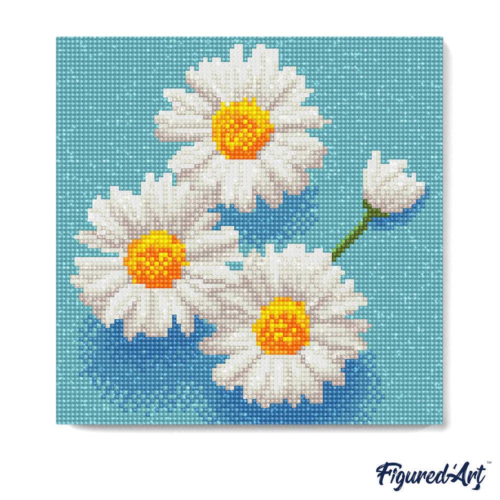 Mini Diamond Painting avec cadre Jolies Marguerites Blanches: Toile tendue sur châssis / 25x25cm